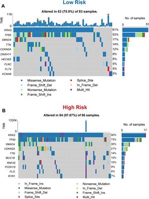 Mitophagy-Related Gene Signature for Prediction Prognosis, Immune Scenery, Mutation, and Chemotherapy Response in Pancreatic Cancer